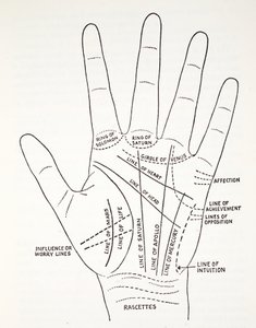 Líneas básicas y líneas menores de la mano de English School