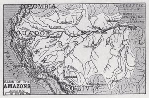 Cuenca de las Amazonas de English School