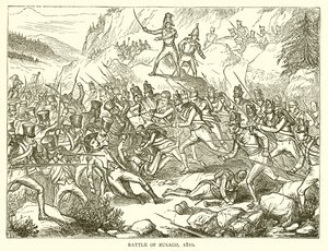 Batalla de Busaco, 1810 de English School