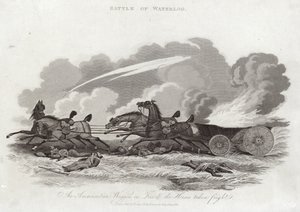 Batalla de Waterloo de English School