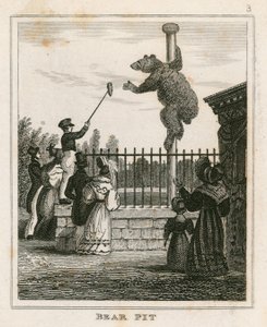Foso de osos, Jardines Zoológicos de Londres, Regents Park