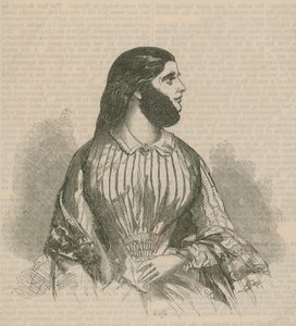 Dama barbuda
