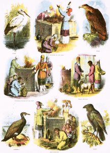 Ilustraciones bíblicas de English School