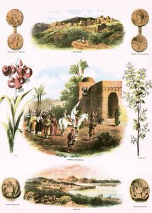 Ilustraciones bíblicas de English School