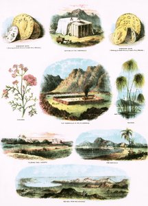 Ilustraciones bíblicas de English School