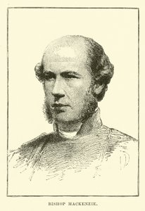 Obispo Mackenzie de English School