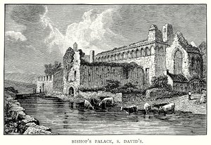 Palacio Episcopal, S David