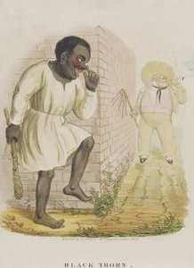Espino negro, 1836 de English School