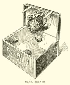 Caja de Sombreros de English School
