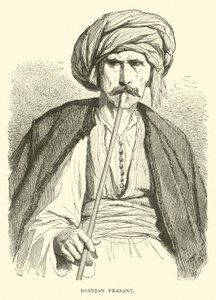 Campesino bosnio de English School