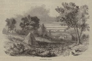 Campo de Bosworth de English School