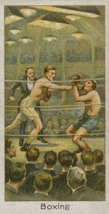 Boxeo de English School