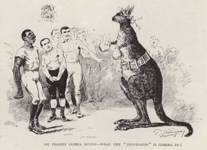 Canguro boxeador
