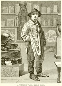 Niño en el museo, un pez fuera del agua de English School