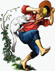 Niño atacado por un gato