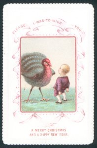 Niño cara a cara con pavo