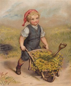 Niño empujando una carretilla llena de flores (cromolito) de English School