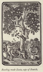Niños recogiendo manzanas de English School