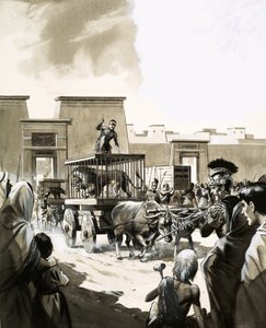 Pan y circo