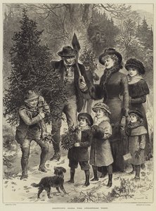 Llevando a casa el árbol de Navidad de English School