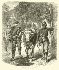 Traer a un prisionero, septiembre 1870 de English School