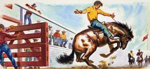 Bronco salvaje en el rodeo