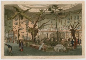 Museo de Bullock de English School