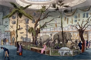 Museo Bullocks, 22 Piccadilly, Londres, del Repositorio de Artes de Ackermann, 1809 de English School