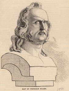 Busto del Profesor Wilson de English School