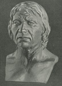 Busto de un hombre de Cro-Magnon de English School