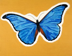 Mariposa de English School