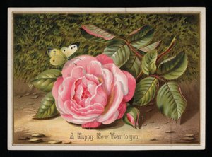 Mariposa con una rosa rosa, tarjeta de felicitación de Año Nuevo