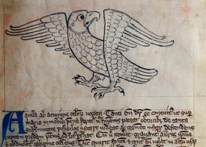 Águila, del Bestiario