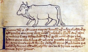 Becerro, del Bestiario