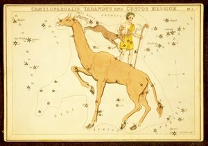 Camelopardalis, Tarandus y Custos Messium, pub. 1825 de English School