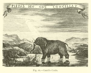 Camillo Caula de English School