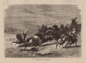 Cazar caballos salvajes (grabado) de English School