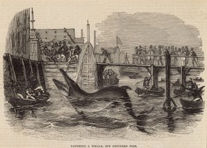Cazando una ballena en el muelle de Deptford