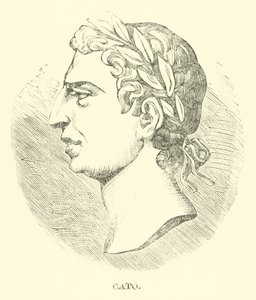 Cato de English School