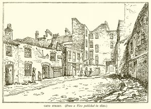 Calle Cato de English School