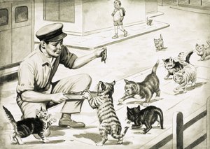 Los gatos vienen a saludar al hombre de la carne de gato de English School