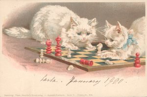 Gatos jugando al ajedrez de English School