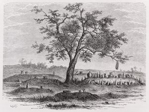 Cementerio y árbol sagrado en Mbinda, de 