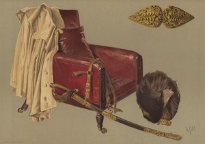 Silla y capa del Mariscal de Campo el Duque de Wellington, con piel de oso y espada de los Guardias Granaderos (cromolitografía)