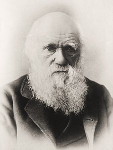 Charles Darwin de English School