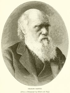 Charles Darwin de English School