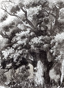 Carlos II (1630-85) escondido en el roble, 14 de octubre de 1651 de English School