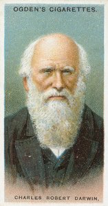 Charles Robert Darwin de English School