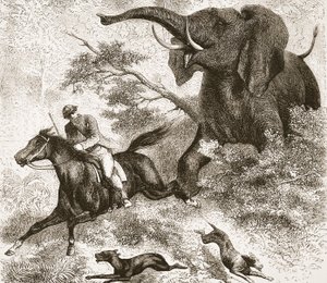 Perseguido por un elefante, ilustración de The Pictorial Edition of the Life and Discoveries of David Livingstone por J. Ewing Richie, pub. por A. Fullarton & Co., 1876 de English School