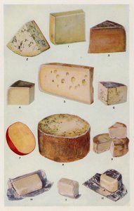 Cheddar; Gorgonzola; Doble Gloster; Parmesano; Gruyere; Roquefort; Holandés; Stilton; Camembert; St Ives; Nata (litografía en color)